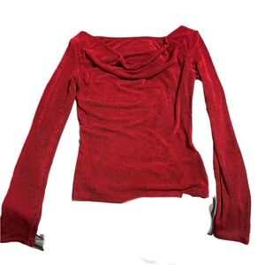 Cider Red Fitted Blouse with Draped Neckline